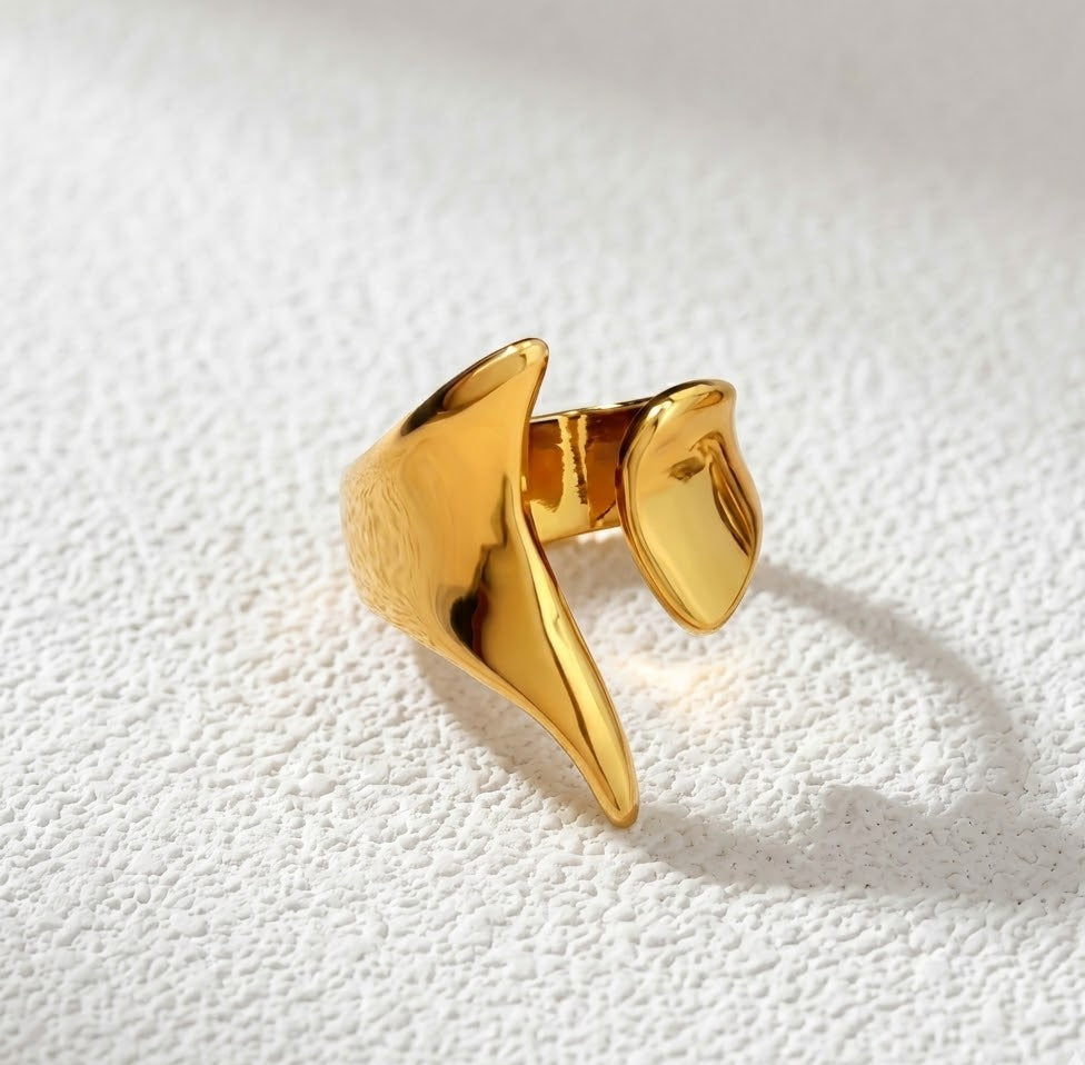 Anillo Venecia